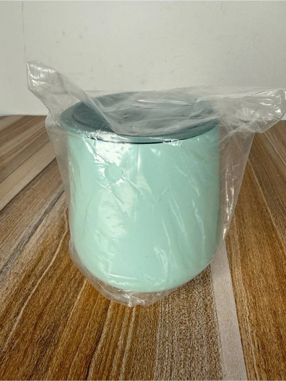 🆕 Fellow Ruby Tumbler Mint Chip 12oz/355ml Insulated Stainless Steel
